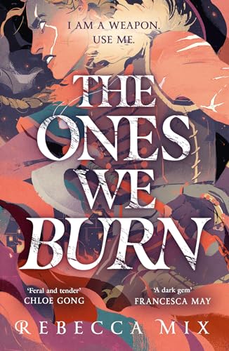 The Ones We Burn: the New York Times bestselling dark epic young adult fantasy