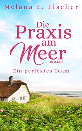 Die Praxis am Meer: Ein perfektes Team (Praxis-am-Meer-Reihe 3)