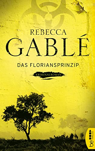 Das Floriansprinzip: Krimi (Die Kriminalromane von SPIEGEL-Bestsellerautorin Rebecca Gablé 4)