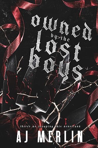 Owned By The Lost Boys