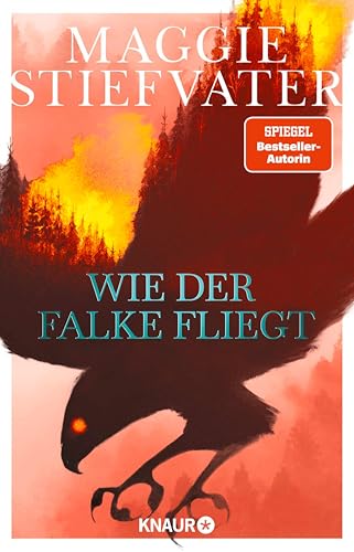 Wie der Falke fliegt (Dreamer-Trilogie 1)