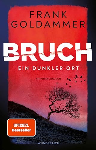 Bruch: Ein dunkler Ort (Felix Bruch 1)