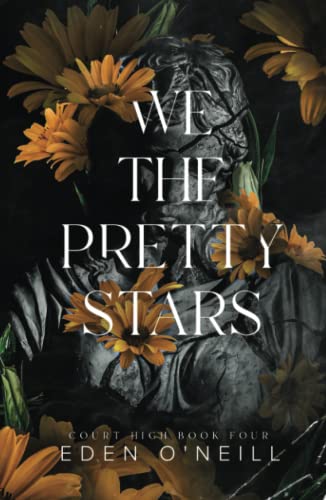 We the Pretty Stars (Court High, Band 4)