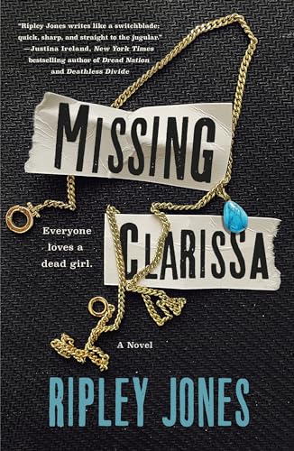 Missing Clarissa: A Novel