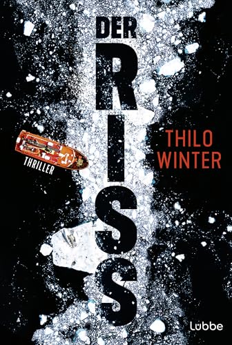 Der Riss: Thriller