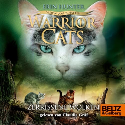 Zerrissene Wolken: Warrior Cats - Vision von Schatten 3