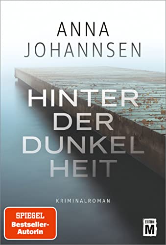 Hinter der Dunkelheit (Ein Fall für Hanna Will & Jan de Bruyn 1)
