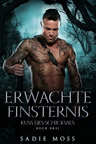 Erwachte Finsternis (Kuss des Schicksals 3)