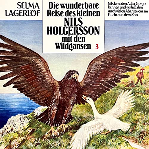 Die wunderbare Reise des kleinen Nils Holgersson mit den Wildgänsen 3