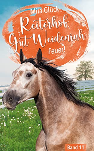 Reiterhof Gut Weidenruh: Feuer!