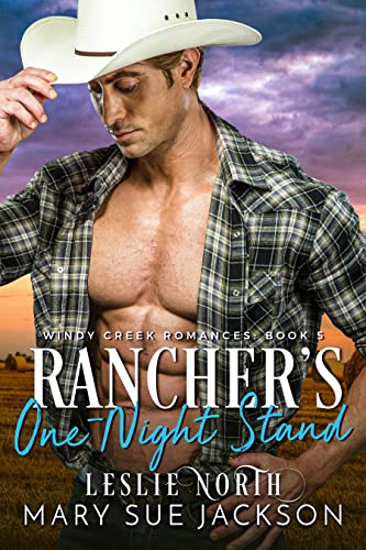 Rancher's One-Night Stand (Windy Creek Romances Book 5)