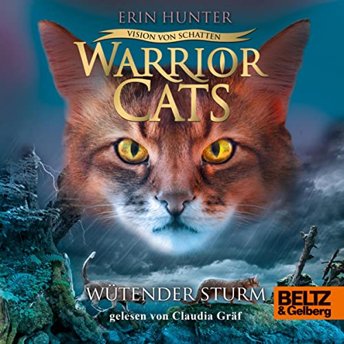 Wütender Sturm: Warrior Cats - Vision von Schatten 6
