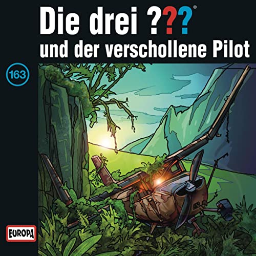Die drei ??? und der verschollene Pilot: Die drei ??? 163