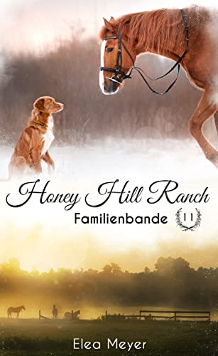 Honey Hill Ranch 11: Familienbande