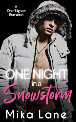 One Night in a Snowstorm (A One-Nighter Reverse Harem Romance)