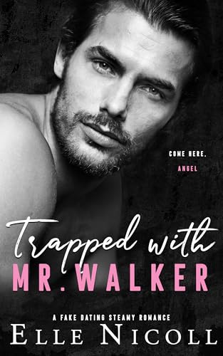 Trapped with Mr. Walker: A fake dating steamy romance (The Men Series - Interconnected Standalone Romances Book 6)