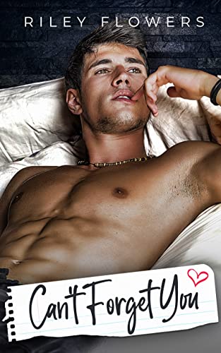 Can't Forget You: Ein Second-Chance Liebesroman (Irresistible love stories 1)