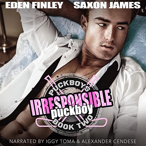 Irresponsible Puckboy: Puckboys, Book 2