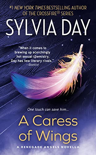 A Caress of Wings (Renegade Angels)