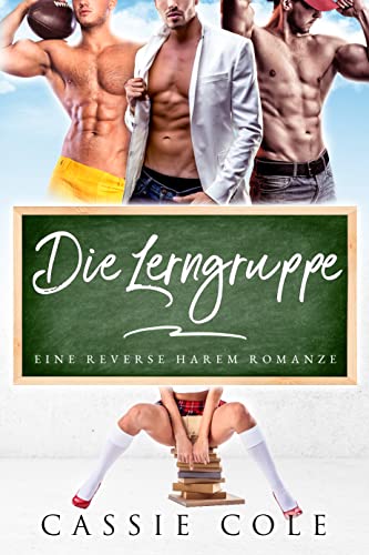Die Lerngruppe: Eine Reverse Harem Romanze
