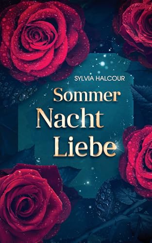Sommer Nacht Liebe: Kurzroman