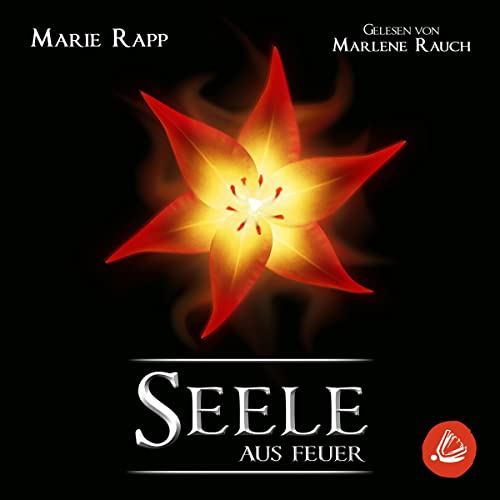 Seele aus Feuer: Seelen-Saga 2