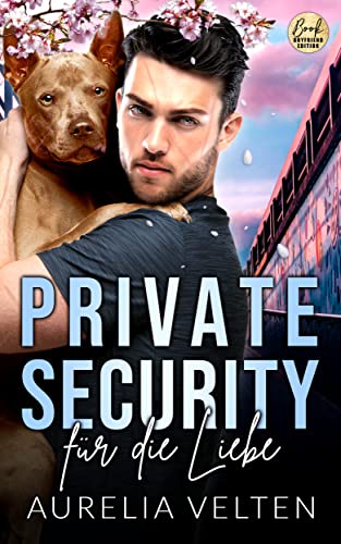 Private Security für die Liebe (Boston In Love)