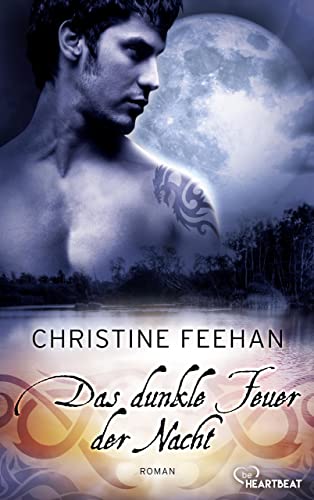 Das dunkle Feuer der Nacht: Roman (Die Karpatianer 21)