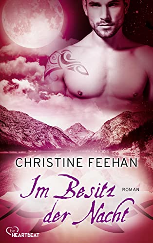 Im Besitz der Nacht: Roman (Die Karpatianer 27)