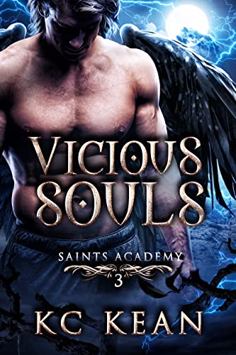 Vicious Souls: A Reverse Harem Fantasy Romance (Saints Academy Book 3)