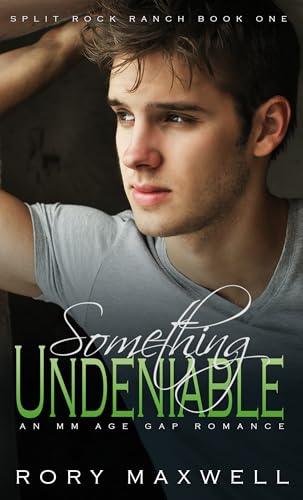 Something Undeniable: An MM Age Gap Romance (Split Rock Ranch Book 1)