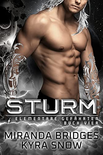 Sturm (Elementare Gefährten 4)