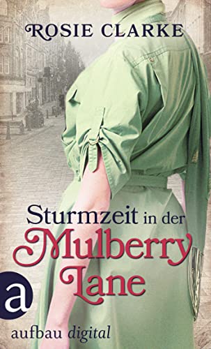 Sturmzeit in der Mulberry Lane (Die große Mulberry Lane Saga 7)