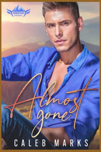 Almost Gone (Wingstead Series)