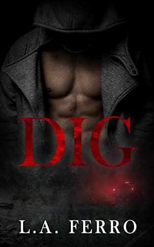 DIG: A Second Chance Romance (Summer Nights)