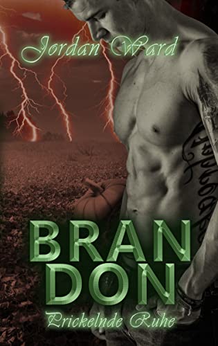 Brandon: Prickelnde Ruhe (Secret Desire 3)