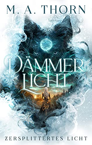 Dämmerlicht: Zersplittertes Licht (Drayke-Saga 1)