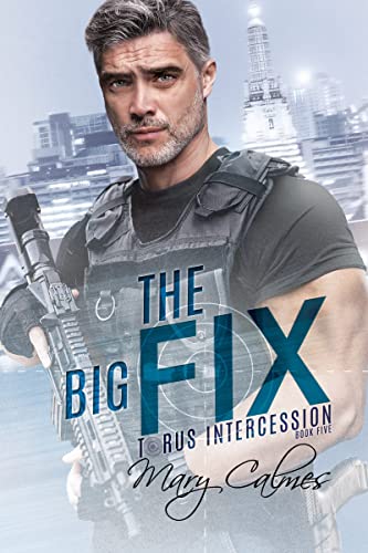The Big Fix: Torus Intercession Book Five