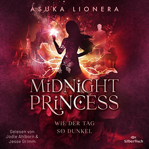Wie der Tag so dunkel: Midnight Princess 2