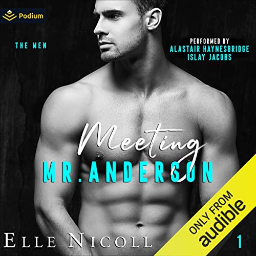 Meeting Mr. Anderson: The Men, Book 1