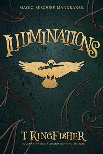 Illuminations (English Edition)