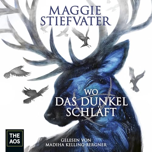 Wo das Dunkel schläft: Raven Boys 4