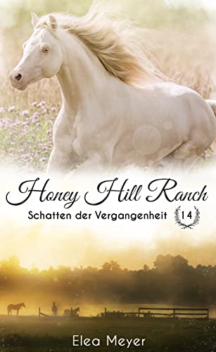 Honey Hill Ranch 14: Schatten der Vergangenheit