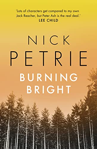 Burning Bright (Ash Book 2)