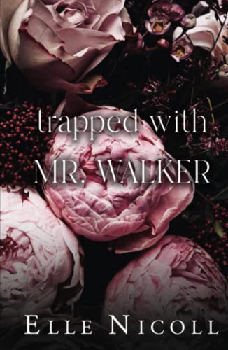 Trapped with Mr. Walker: A fake dating steamy romance (The Men Series - Interconnected Standalone Romances, Band 6)