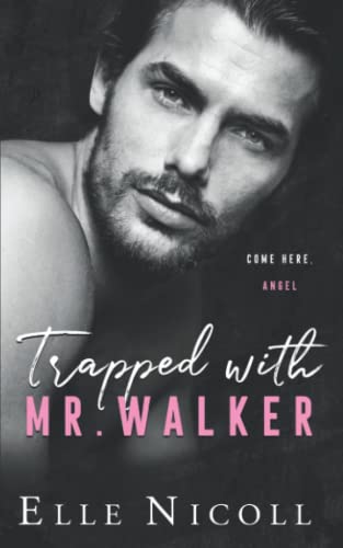 Trapped with Mr. Walker: A fake dating steamy romance (The Men Series - Interconnected Standalone Romances, Band 6)