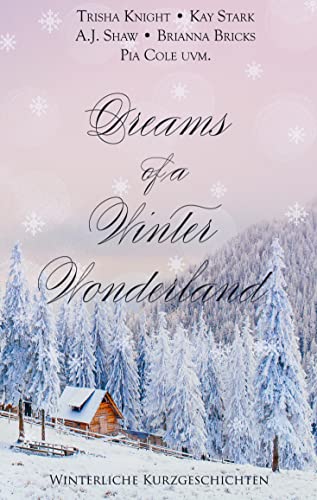 Dreams of a Winter Wonderland: Winterliche Kurzgeschichten