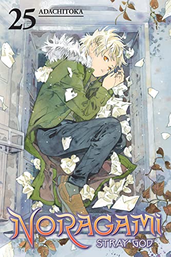 Noragami: Stray God Vol. 25