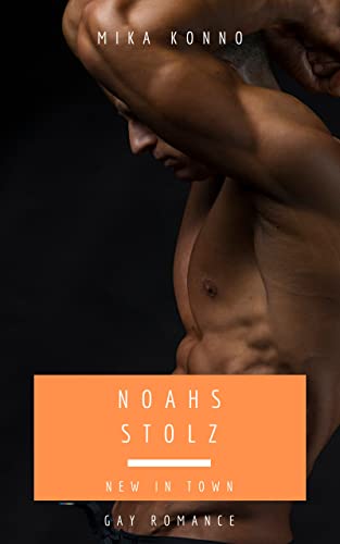 Noahs Stolz – New in Town: Gay Romance