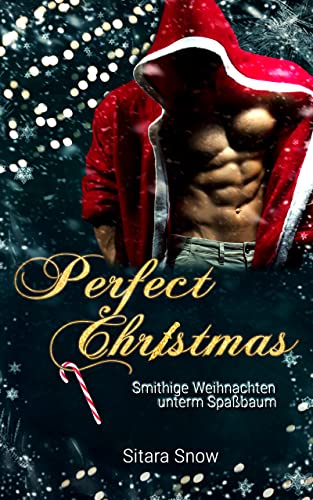 Perfect Christmas: Smithige Weihnachten unterm Spaßbaum (Perfect Victim)